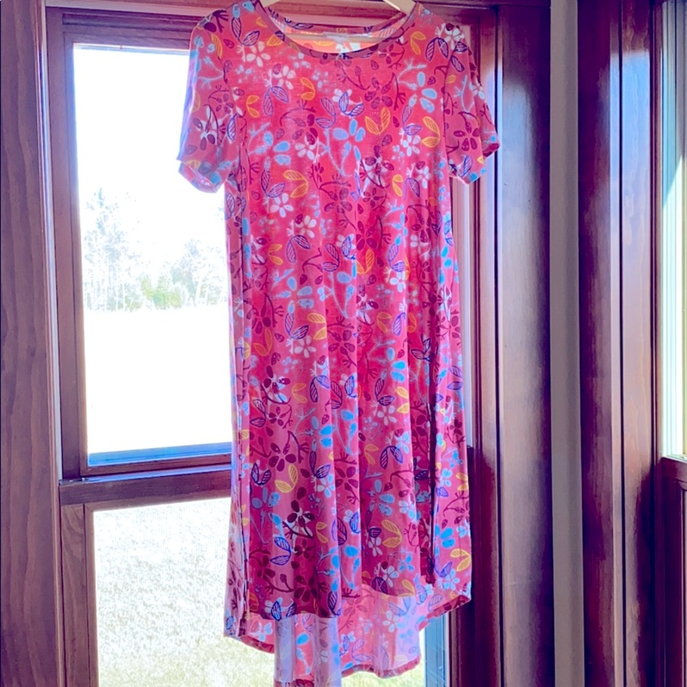 LulaRoe Carly Dress